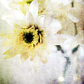 White Flower Mixed Media by Linda Woods White Flower Mixed Media by Linda Woods