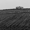 An italian farm in Abruzzo Photograph by AM FineArtPrints An italian farm in Abruzzo Photograph by AM FineArtPrints