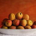 Apricot Delight Photograph by Priska Wettstein Apricot Delight Photograph by Priska Wettstein