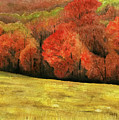 Autumn Splendor by Mary Tuomi Autumn Splendor by Mary Tuomi
