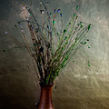 Autumn Still Life Photograph by Nailia Schwarz Autumn Still Life Photograph by Nailia Schwarz