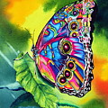 Beatrice Butterfly #1 by Maria Barry