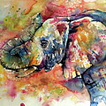 Big colorful elephant Painting by Kovacs Anna Brigitta Big colorful elephant Painting by Kovacs Anna Brigitta
