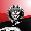 Black Jaguar - Hood Ornaments and 3 D Badge on Red Photograph by Serge Averbukh Black Jaguar - Hood Ornaments and 3 D Badge on Red Photograph by Serge Averbukh