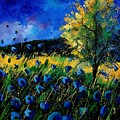 Blue poppies by Pol Ledent Blue poppies by Pol Ledent