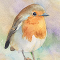British Robin Painting by Marsha Karle British Robin Painting by Marsha Karle