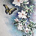 Butterfly and Clematis Vine by Susan Moore Butterfly and Clematis Vine by Susan Moore