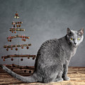 Cat Christmas by Nailia Schwarz Cat Christmas by Nailia Schwarz
