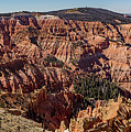 Cedar Breaks National Monument #1 Photograph by K Bradley Washburn