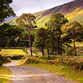 Celtic Spirit. Wicklow Mountains. Ireland Photograph by Jenny Rainbow Celtic Spirit. Wicklow Mountains. Ireland Photograph by Jenny Rainbow