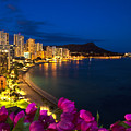 Classic Waikiki Nightime by Tomas del Amo - Printscapes Classic Waikiki Nightime by Tomas del Amo - Printscapes