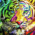 Colorful Tiger by Anthony Mwangi Colorful Tiger by Anthony Mwangi