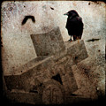 Cross With Crow by Gothicrow Images Cross With Crow by Gothicrow Images