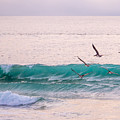 Cruising Photograph by Derek Dean Cruising Photograph by Derek Dean