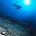 Diving Scene by Ed Robinson - Printscapes Diving Scene by Ed Robinson - Printscapes