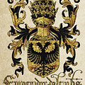 Emperor of Germany Coat of Arms - Livro do Armeiro-Mor Photograph by Serge Averbukh Emperor of Germany Coat of Arms - Livro do Armeiro-Mor Photograph by Serge Averbukh