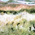 Geese In Grass #1 Photograph by Jim Proctor