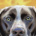 German Short Haired Pointer Painting by David Rogers German Short Haired Pointer Painting by David Rogers