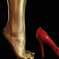 Golden Legs by Maxim Images Prints Golden Legs by Maxim Images Prints