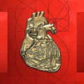Heart of Gold - Golden Human Heart on Red Canvas by Serge Averbukh Heart of Gold - Golden Human Heart on Red Canvas by Serge Averbukh