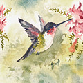 Hummingbird by Sam Sidders Hummingbird by Sam Sidders