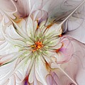 In Full Bloom by Amanda Moore In Full Bloom by Amanda Moore