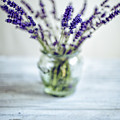 Lavender Still Life by Nailia Schwarz Lavender Still Life by Nailia Schwarz