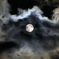 Lisas Wildlife Moons 2 by September Stone Lisas Wildlife Moons 2 by September Stone