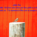 Little One Photograph by Merle Grenz Little One Photograph by Merle Grenz