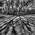 Long shadows Digital Art by Lilia D Long shadows Digital Art by Lilia D