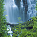 Lower Proxy Falls by Greg Vaughn - Printscapes Lower Proxy Falls by Greg Vaughn - Printscapes