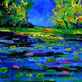 Magic pond 765170 by Pol Ledent Magic pond 765170 by Pol Ledent