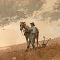 Man with Plow Horse Drawing by Winslow Homer Man with Plow Horse Drawing by Winslow Homer