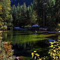 Merced River #1 by Alex Morales