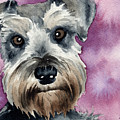 Miniature Schnauzer Painting by David Rogers Miniature Schnauzer Painting by David Rogers