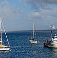 Monterey Harbor Photograph by Derek Dean Monterey Harbor Photograph by Derek Dean