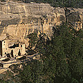 Panoramic View Of Cliff Palace Cliff by Panoramic Images Panoramic View Of Cliff Palace Cliff by Panoramic Images