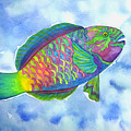 Parrotfish Painting by Lucy Arnold Parrotfish Painting by Lucy Arnold
