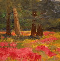Poppy Meadow Painting by Julie Lueders Poppy Meadow Painting by Julie Lueders
