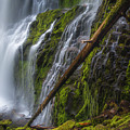 Proxy Falls by Cat Connor Proxy Falls by Cat Connor