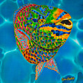 Queen Parrotfish Painting by Daniel Jean-Baptiste Queen Parrotfish Painting by Daniel Jean-Baptiste