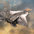 Raptor Digital Art by Airpower Art Raptor Digital Art by Airpower Art