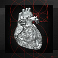Silver Human Heart on Black Canvas by Serge Averbukh Silver Human Heart on Black Canvas by Serge Averbukh