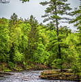 St Louis River by Paul Freidlund St Louis River by Paul Freidlund