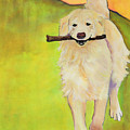 Stick Together by Pat Saunders-White Stick Together by Pat Saunders-White