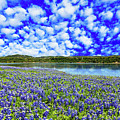 Texas Hill Country Photograph by Raul Rodriguez Texas Hill Country Photograph by Raul Rodriguez