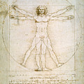 The Proportions Of The Human Figure by Leonardo da Vinci The Proportions Of The Human Figure by Leonardo da Vinci