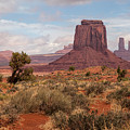 The Valley Floor Photograph by Jim Garrison The Valley Floor Photograph by Jim Garrison