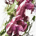 Tulips #2 by Charlie Roman