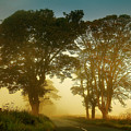 Twilight Guardians. Misty Roads of Scotland Photograph by Jenny Rainbow Twilight Guardians. Misty Roads of Scotland Photograph by Jenny Rainbow